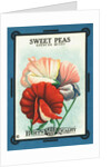 Sweet Peas Spencer Mixed Flower Seeds Package Label by Anonymous