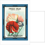 Sweet Peas Spencer Mixed Flower Seeds Package Label by Anonymous