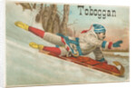 Toboggan Victorian Trading Card by Anonymous
