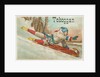 Toboggan Victorian Trading Card by Anonymous