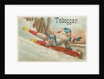 Toboggan Victorian Trading Card by Anonymous