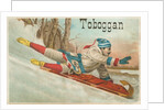 Toboggan Victorian Trading Card by Anonymous