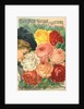 Our New Guide to Rose Culture, 1899 Catalog Cover for The Dingee & Conard Co. by Anonymous