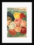 Our New Guide to Rose Culture, 1899 Catalog Cover for The Dingee & Conard Co. by Anonymous