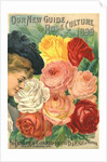 Our New Guide to Rose Culture, 1899 Catalog Cover for The Dingee & Conard Co. by Anonymous