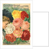 Our New Guide to Rose Culture, 1899 Catalog Cover for The Dingee & Conard Co. by Anonymous