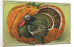 Thanksgiving Greetings Postcard with a Turkey and Pumpkin by Corbis