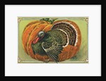 Thanksgiving Greetings Postcard with a Turkey and Pumpkin by Corbis