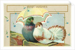 Best Wishes Postcard by Anonymous