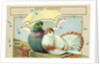 Best Wishes Postcard by Anonymous
