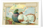 Best Wishes Postcard by Anonymous