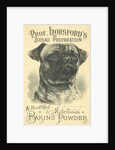 Prof. Horsford's Baking Powder Trade Card by Anonymous