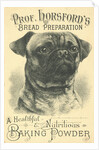 Prof. Horsford's Baking Powder Trade Card by Anonymous