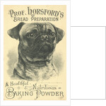 Prof. Horsford's Baking Powder Trade Card by Anonymous
