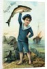 Sailor Boy Trade Card by Anonymous