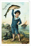 Sailor Boy Trade Card by Anonymous