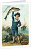 Sailor Boy Trade Card by Anonymous