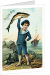 Sailor Boy Trade Card by Anonymous