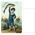 Sailor Boy Trade Card by Anonymous