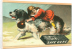 Warner's Safe Cure Trade Card with a St. Bernard and Child by Anonymous