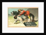 Warner's Safe Cure Trade Card with a St. Bernard and Child by Anonymous