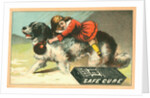 Warner's Safe Cure Trade Card with a St. Bernard and Child by Anonymous