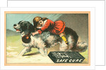 Warner's Safe Cure Trade Card with a St. Bernard and Child by Anonymous