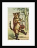 I have bought it Handy Box Shoe Blacking Trade Card by Anonymous