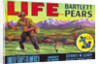 Life Brand Bartlett Pears Fruit Crate Label by Anonymous