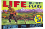 Life Brand Bartlett Pears Fruit Crate Label by Anonymous