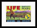 Life Brand Bartlett Pears Fruit Crate Label by Anonymous