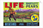 Life Brand Bartlett Pears Fruit Crate Label by Anonymous
