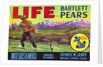Life Brand Bartlett Pears Fruit Crate Label by Anonymous