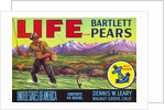 Life Brand Bartlett Pears Fruit Crate Label by Anonymous