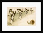 J&P. Coats Trade Card with Cats Bicycling by Anonymous