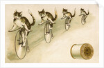 J&P. Coats Trade Card with Cats Bicycling by Anonymous