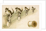 J&P. Coats Trade Card with Cats Bicycling by Anonymous