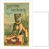 Challenge Corn Planter Co. Trade Card with Bulldog by Anonymous
