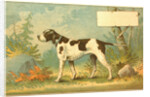 Trade Card of a Hound Dog in the Forest by Anonymous