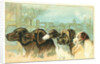 Trade Card with the Profiles of Five Different Dog Breeds by Anonymous