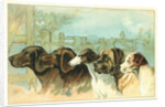 Trade Card with the Profiles of Five Different Dog Breeds by Anonymous