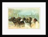 Trade Card with the Profiles of Five Different Dog Breeds by Anonymous