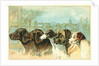 Trade Card with the Profiles of Five Different Dog Breeds by Anonymous