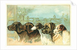 Trade Card with the Profiles of Five Different Dog Breeds by Anonymous