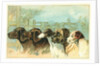 Trade Card with the Profiles of Five Different Dog Breeds by Anonymous