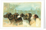 Trade Card with the Profiles of Five Different Dog Breeds by Anonymous