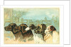 Trade Card with the Profiles of Five Different Dog Breeds by Anonymous