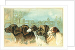 Trade Card with the Profiles of Five Different Dog Breeds by Anonymous