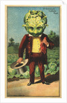 1st Premium Cabbage Head Trade Card by Anonymous
