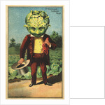 1st Premium Cabbage Head Trade Card by Anonymous